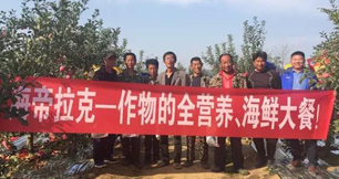 蘋果樹12月管理技術要點！抓緊時間看