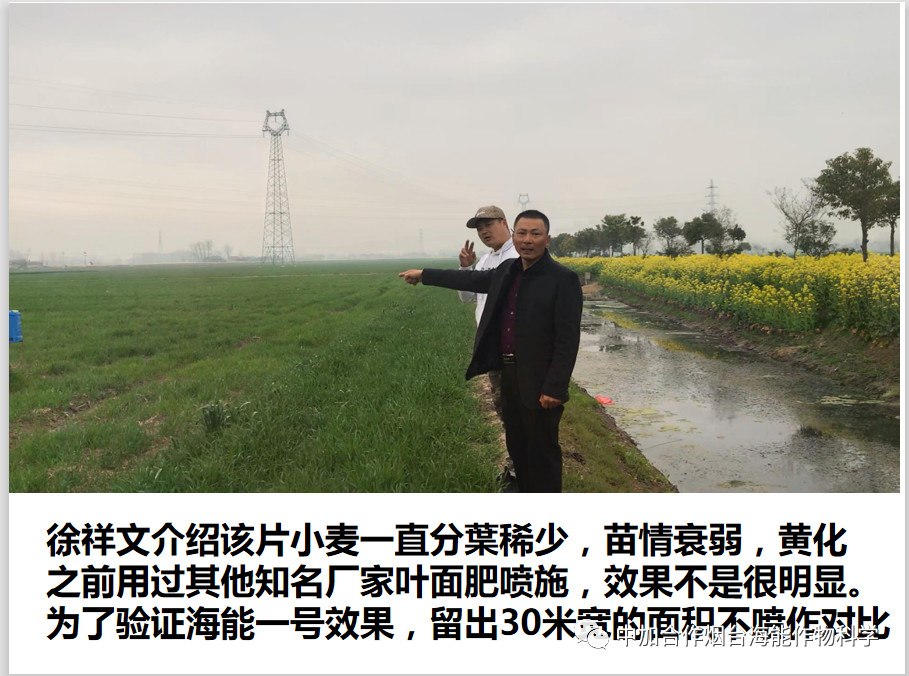 大量元素水溶肥