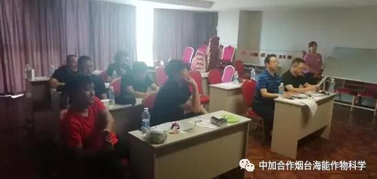 知識競賽爭先鋒，比學趕超展風采