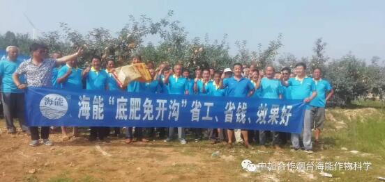 LUTUBE在线观看免费底肥免開溝 用效果說話！