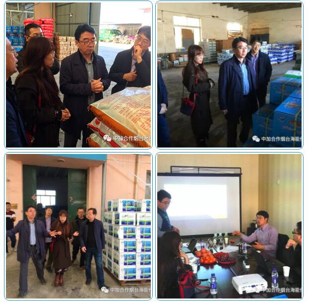 LUTUBE在线观看免费出口品質，專注服務農業 