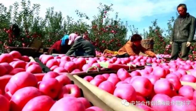 2019改變務果觀念 2019改變務果觀念