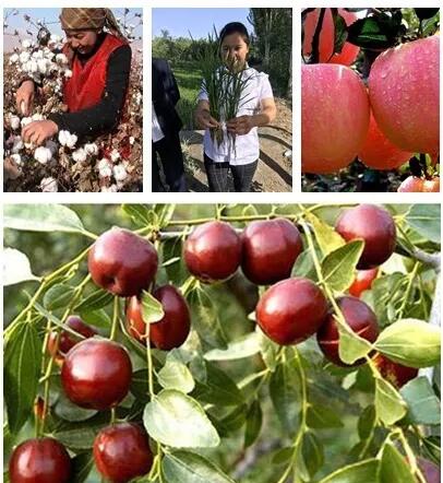 海帝拉克帶你走進新疆----一起領略異域情懷 海帝拉克帶你走進新疆----一起領略異域情懷