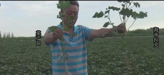 海帝拉克帶你走進新疆----一起領略異域情懷 海帝拉克帶你走進新疆----一起領略異域情懷