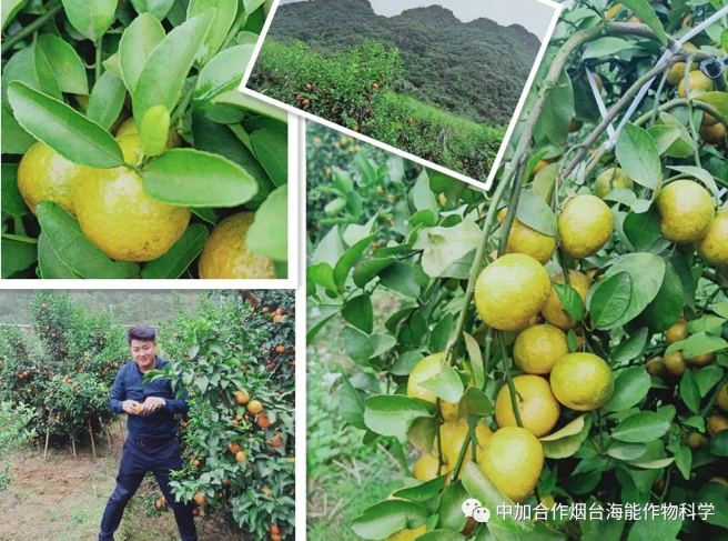 海帝拉克巔峰會議背後的故事來襲 海帝拉克巔峰會議背後的故事來襲