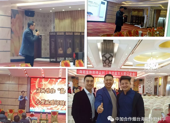 海帝拉克巔峰會議背後的故事第二集來襲 海帝拉克巔峰會議背後的故事第二集來襲