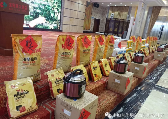 海帝拉克巔峰會議背後的故事第二集來襲 海帝拉克巔峰會議背後的故事第二集來襲