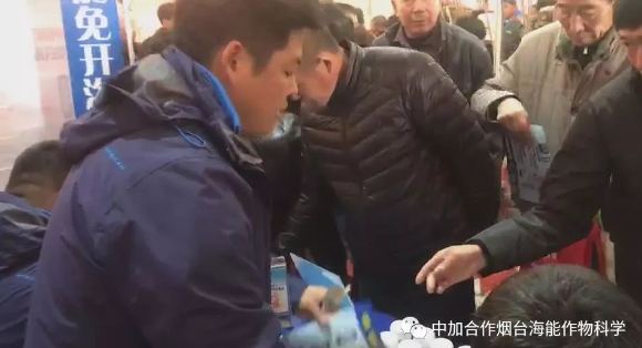 LUTUBE在线观看免费生物帶你玩轉煙台苗木會 LUTUBE在线观看免费生物帶你玩轉煙台苗木會