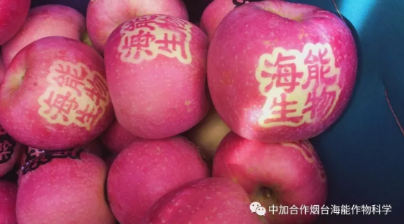 用實力證明一切-----眾多種植戶都在說這樣的一句話 用實力證明一切-----眾多種植戶都在說這樣的一句話