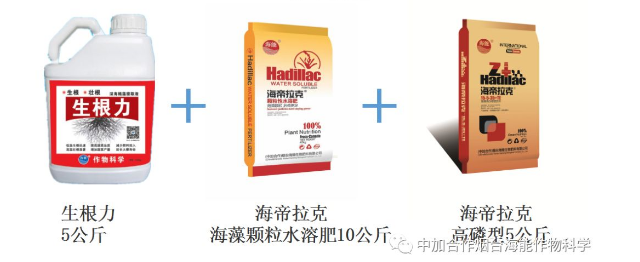 LUTUBE在线观看免费生物高品質葡萄全程“傻瓜式”施肥方案 LUTUBE在线观看免费生物高品質葡萄全程“傻瓜式”施肥方案