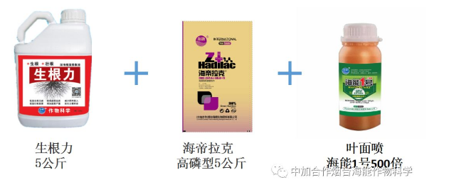 LUTUBE在线观看免费生物高品質葡萄全程“傻瓜式”施肥方案 LUTUBE在线观看免费生物高品質葡萄全程“傻瓜式”施肥方案