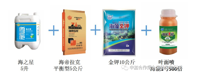 LUTUBE在线观看免费生物高品質葡萄全程“傻瓜式”施肥方案 LUTUBE在线观看免费生物高品質葡萄全程“傻瓜式”施肥方案