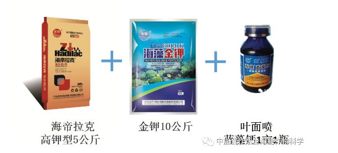 LUTUBE在线观看免费生物高品質葡萄全程“傻瓜式”施肥方案 LUTUBE在线观看免费生物高品質葡萄全程“傻瓜式”施肥方案