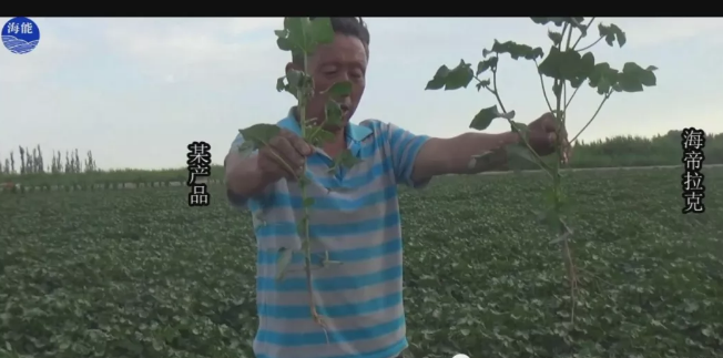 天山、戈壁、沙漠LUTUBE在线观看免费與你在這裏相遇