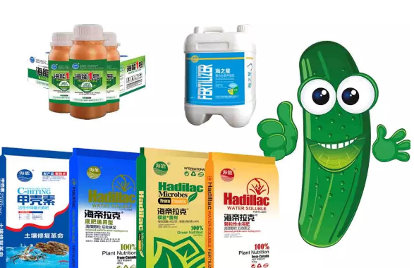 LUTUBE在线观看免费生物黃瓜全程施肥技術 LUTUBE在线观看免费生物黃瓜全程施肥技術