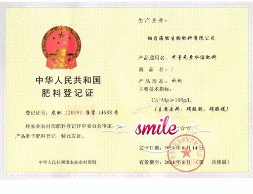 付出終會有回報，功夫不負有心人