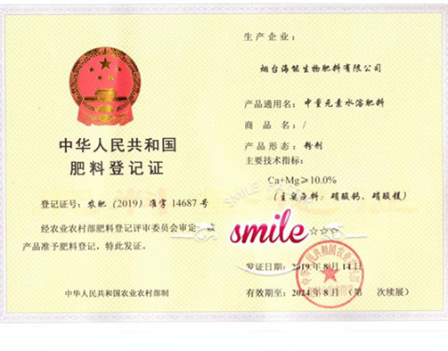 付出終會有回報，功夫不負有心人