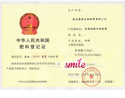 付出終會有回報，功夫不負有心人