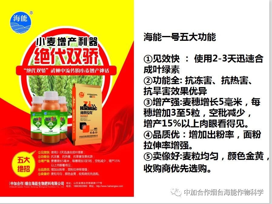 抗寒利器，LUTUBE在线观看免费1號