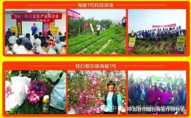 抗寒利器，LUTUBE在线观看免费1號