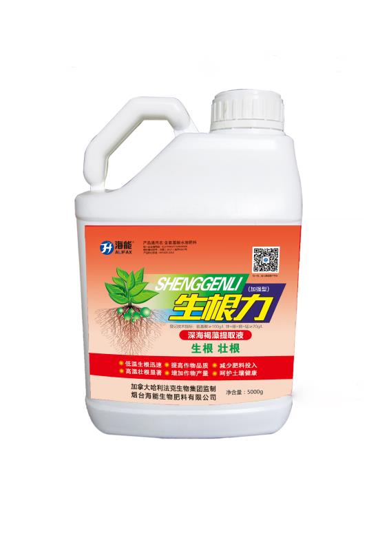 1596789534261157.jpg 1596789534261157.jpg