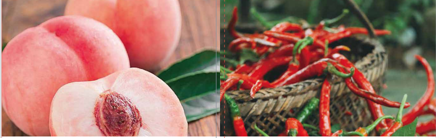 大果力膨果功能肥 大果力膨果功能肥