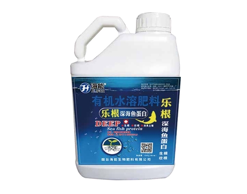 1706162158258829.jpg 39.jpg